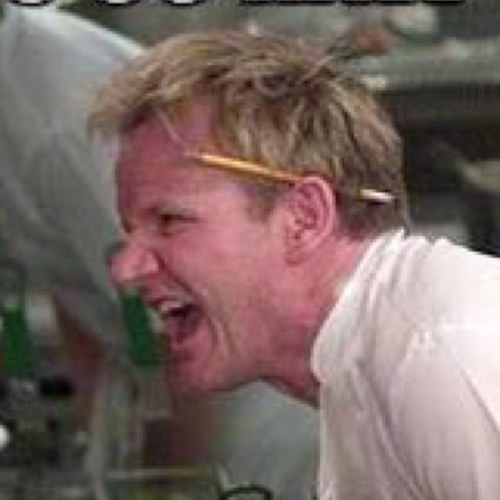 Hell's Kitchen Memes Profile