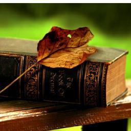 #teamfollowback #OpenFollow #500aday #Follow4Follow                   A reader lives a thousand lives before he dies. The man who never reads lives only one.