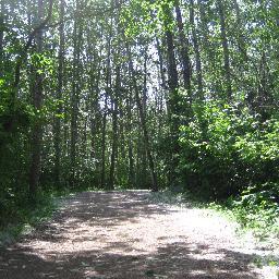 All things #yegtrail  #trail related year-round: share your adventures, trail conditions, #local stories and more! Supporter of all #YEGlocalGEM * nature * love