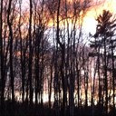 Julia Fields - @VT_vibes - Twitter