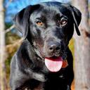 Jonathan Moore - @jmmoore78 - Twitter