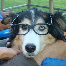 scanmanct's profile picture. Here to meet like minded people..by that..I mean common sense!