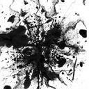 Eva Konrad - @evonra - Twitter