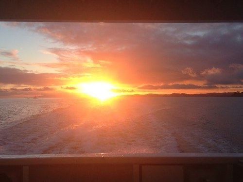 a girl living in paradise. being grateful for that everyday