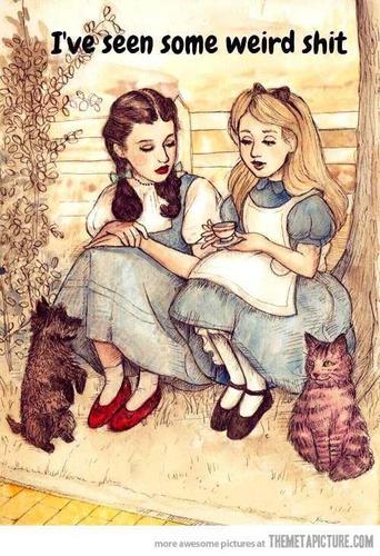 LilAmberD's profile picture. 