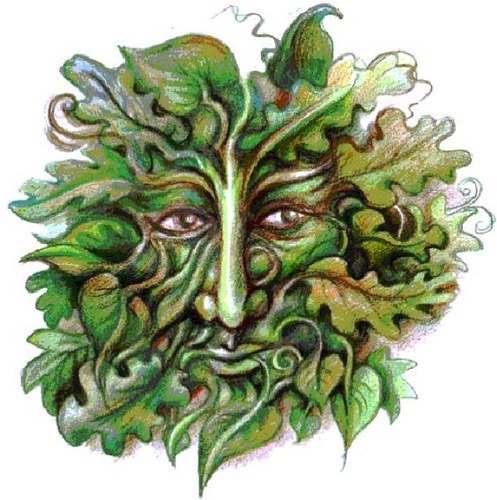 Former Wild Maidenhead biodiversity action plan hedgerow lead