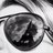 mdarmody's profile image