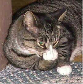 sirespasmos's profile picture. 