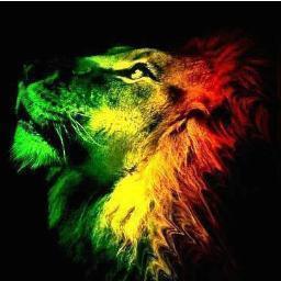 Gosto muito de comedia Curto Rap, reggae, Gospel  !! amo ler...