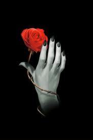 edilmap189's profile picture. 