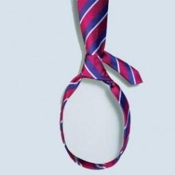 _CasualDay's profile picture. #Bike🚴‍♂️ #Run🏃‍♂️ #Ventas📊 #Marketing 💎 #Diseño👨‍💻