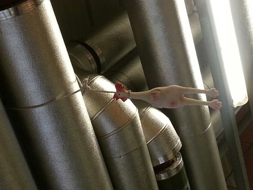 leggster40's profile picture. 