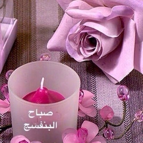 فلو مي فلو باكك . الخاص ممنوع *