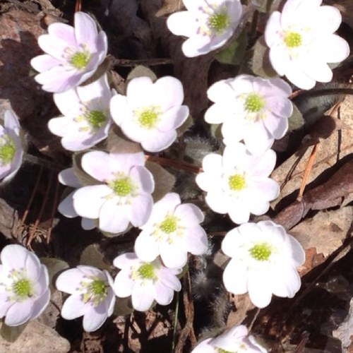 staceyb8313's profile picture. 