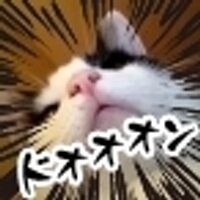 Erin@京浮は宇宙の真理教過激派 (@erinadinfinitum) 's Twitter Profile Photo Erin@京浮は宇宙の真理教過激派 (@erinadinfinitum) 's Twitter Profile Photo