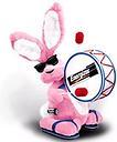 Sensible; Responsible; Always busy scampering here and there; an excellent friend; has brains, not fluff!!!