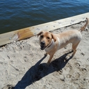 aunt lori - @LoriPlatin - Twitter