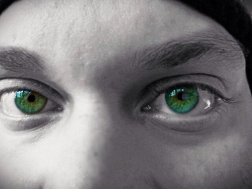 gr33neyedmonsta's profile picture. 