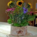 Beth Bloom - @bethierb - Twitter