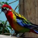 noah edge - @mc_magician_ - Twitter