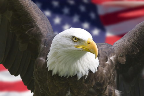 We are a national, 501c3 nonprofit organization. We want to ensure that all active military and vets have homes. We help first responders in natural disasters.