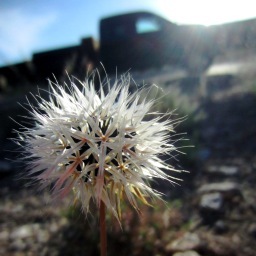 AHWphotography's profile picture. Photographer in Tucson, Az