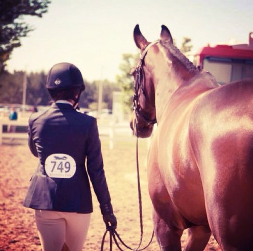 thathorsegal's profile picture. love your horse.