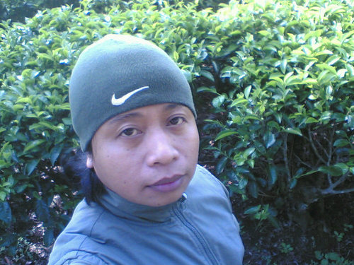 kesukaan musik dan olahraga