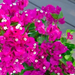 heelsandjars's profile picture. A Classic Southerner in the Hipster Haven...who's plotting to take over the world!