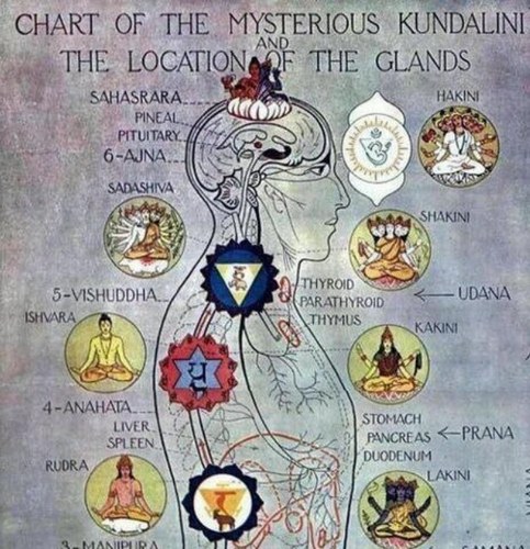 aletatweeter's profile picture. as within so without