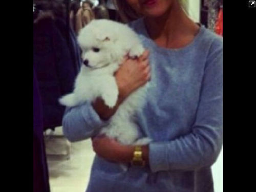 Asrar_96_'s profile picture. 