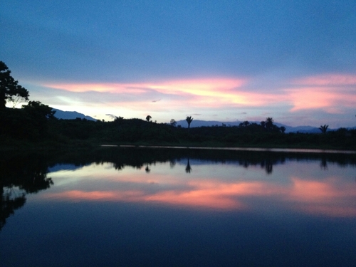 sofimedical's profile picture. 