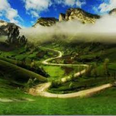 Obstacles are those frightful things you see when you take your eyes off your goals.- Henry Ford
