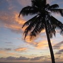 Nancy Hague - @magnoliaboo - Twitter