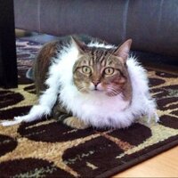 Pookie Smails (@a_a_a99) 's Twitter Profile