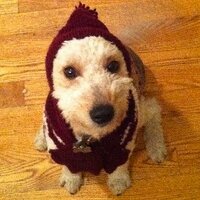 bart nickerson (@explodedpiano) 's Twitter Profile