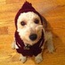 bart nickerson (@explodedpiano) Twitter profile photo