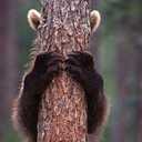 Nick Constable - @ncconstable - Twitter