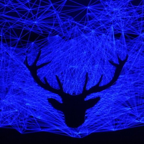 sophianhoe's profile picture. #soph