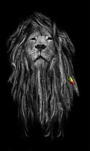 Ok3purebasket's profile picture. 