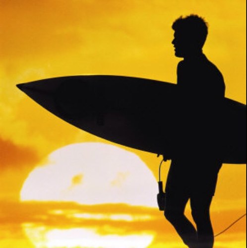 Only_surf1's profile picture. The life of a surfer.