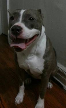 Michael47898525's profile picture. I love sports,music,and my friends and family