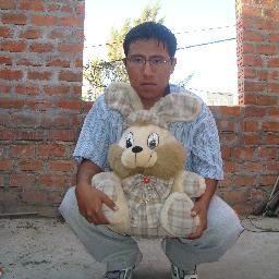 ingeniero de sistemas e ingeniero electronico con conocimientos en java, jquery, mysql, Access, robotica con negocio independiente soy asesor de negocios