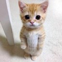 Corbin Jacobs - @HolyCrapItsCobo - Twitter