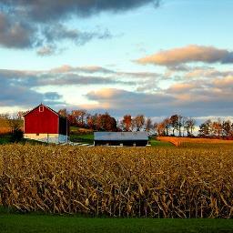 NorthStarFarmin's profile picture. Keepin' it country on the farms to the north!
FFA and 4-H