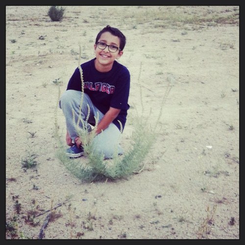 Saloom41's profile picture. 