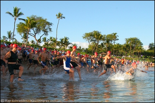 triathlonsingle's profile picture. CEO tweets about his upcoming triathlonsingles site.  Seeking input from people like you!