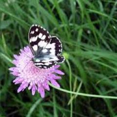 Appear where they cannot go, head for where they expect you least.-Lieh Tzu