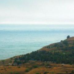 I'm Anatoly. Live at home Russian/English tweets. #followback #follow #FB #following