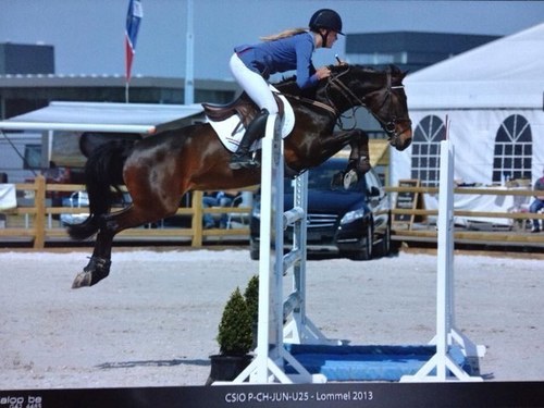 Showjumping | The Netherlands